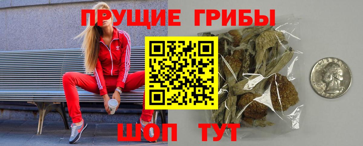 Галлюциногенные грибы ЛСД Камень-на-Оби