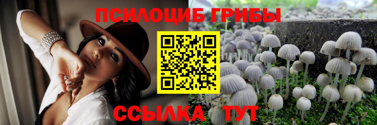 Галлюциногенные грибы Psilocybine cubensis  магазин продажи наркотиков  Камень-на-Оби  Вход с VPN  Псилоцибиновые грибы GOLDEN TEACHER 